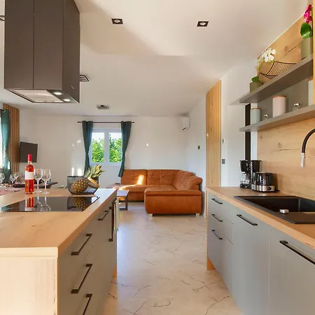 Lucas With Private Pool Appartamento Županje